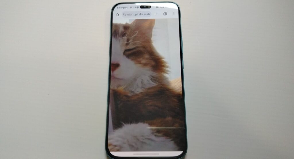 Honor 400 Lite, prezzo davvero invitante ma a quali compromessi?